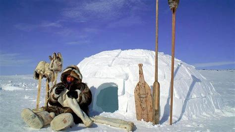 penduduk eskimo  Di daerah equator mempunyai iklim tropis sedangkan di daerah kutub mempunayi iklim dingin
